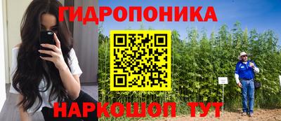 хмурый Гусев