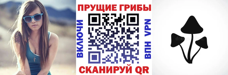Псилоцибиновые грибы MAGIC MUSHROOMS Северск